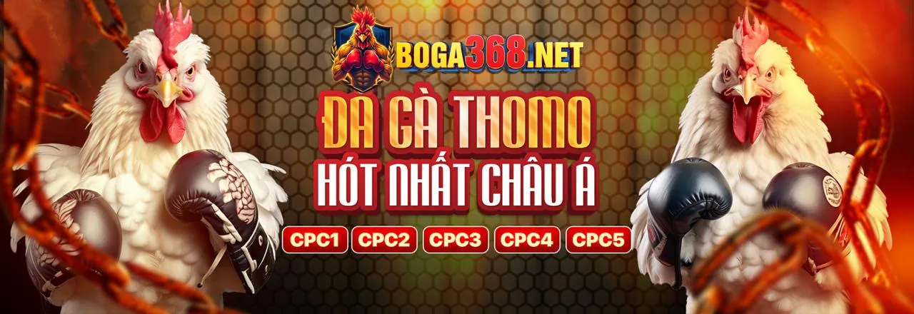 Sân đấu đá gà kịch tính tại u888vip code
